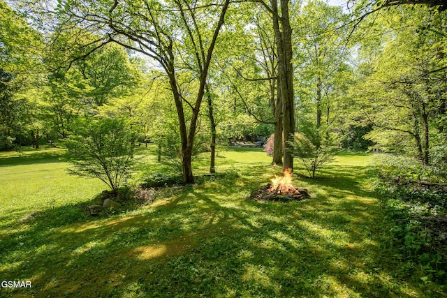4527 E Scenic Dr, Gatlinburg, TN 37738 - view of yard with a fire pit