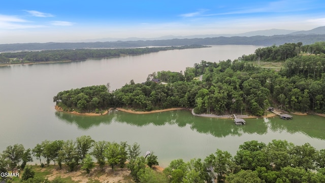 708 Lakeside Ct, Dandridge, TN 37725 - drone / aerial view of a water and mountain view