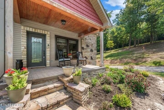 view of patio with covered porch