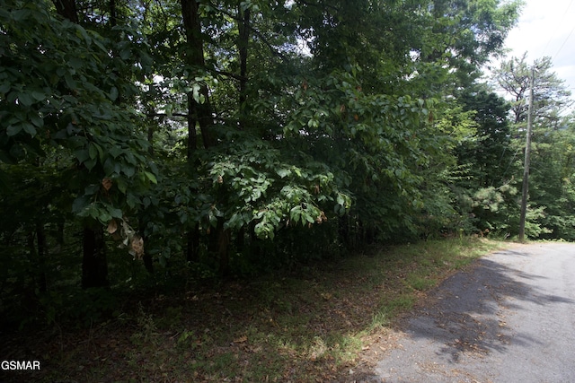 Listing photo 2 for LOT007B Shagbark Hickory Rdg, Sevierville TN 37862