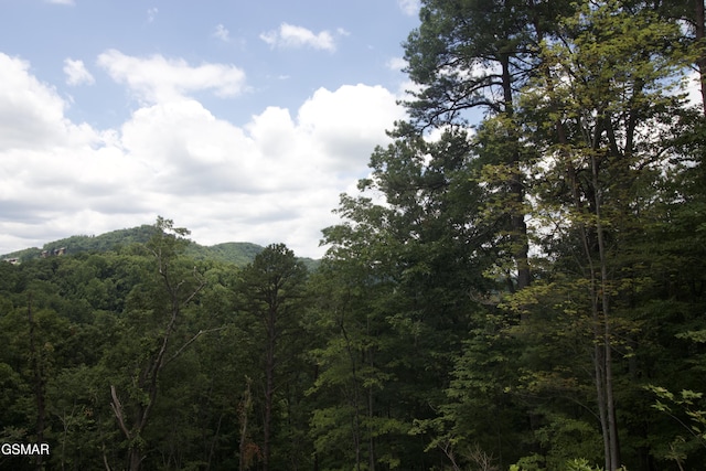 Listing photo 3 for LOT007B Shagbark Hickory Rdg, Sevierville TN 37862