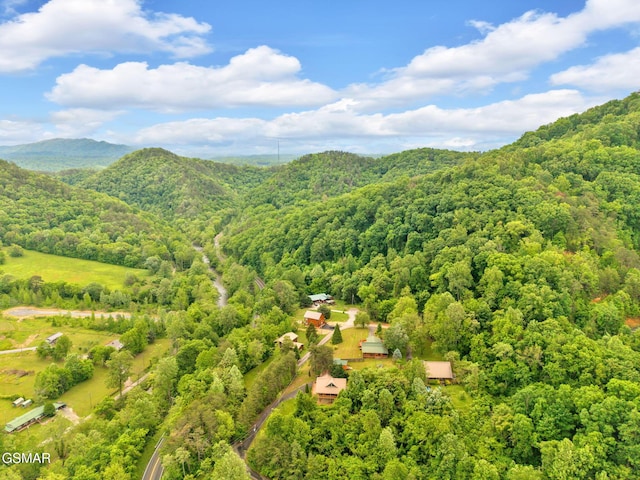 2641 Willow Heights Way, Sevierville, TN 37876 - aerial view of a forest and a mountain backdrop