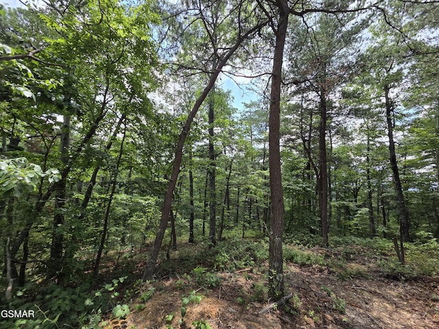 2865/2869 Happy Hollow Rd, Sevierville, TN 37862 - photo 81