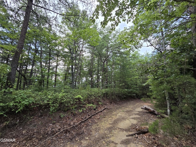 2865/2869 Happy Hollow Rd, Sevierville, TN 37862 - photo 78