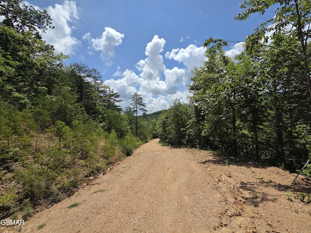 2865/2869 Happy Hollow Rd, Sevierville, TN 37862 - photo 93