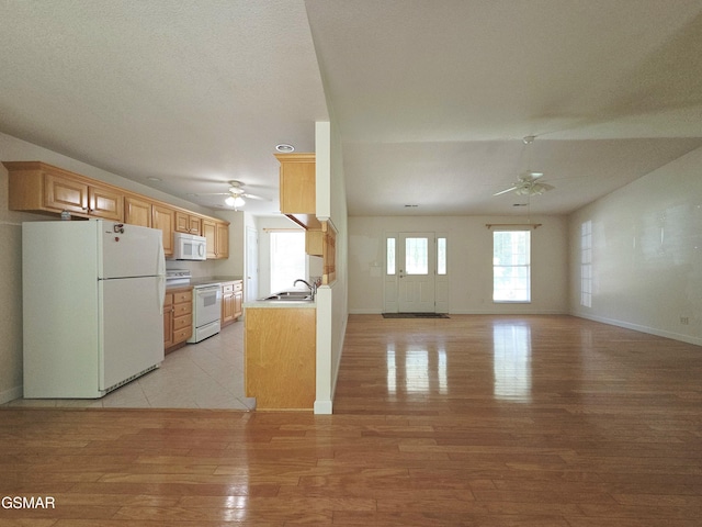 2865/2869 Happy Hollow Rd, Sevierville, TN 37862 - kitchen featuring white appliances, ceiling fan, light wood finished floors, and open floor plan