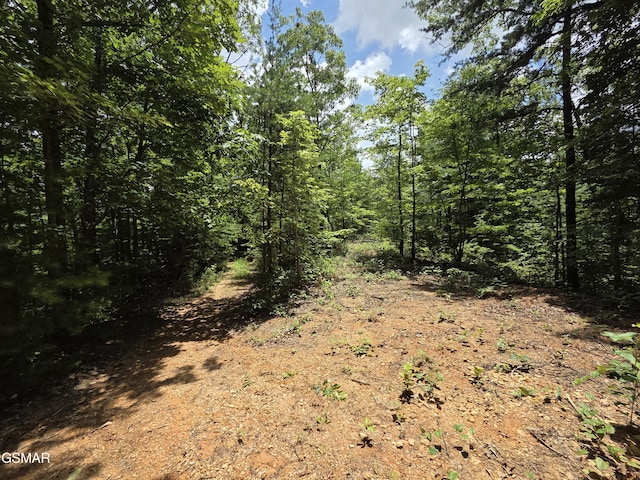 2865/2869 Happy Hollow Rd, Sevierville, TN 37862 - photo 87