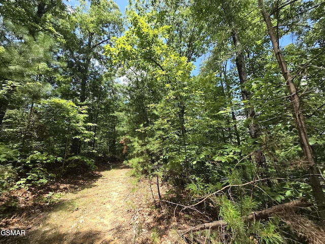 2865/2869 Happy Hollow Rd, Sevierville, TN 37862 - photo 82