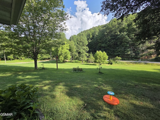 2865/2869 Happy Hollow Rd, Sevierville, TN 37862 - view of green lawn