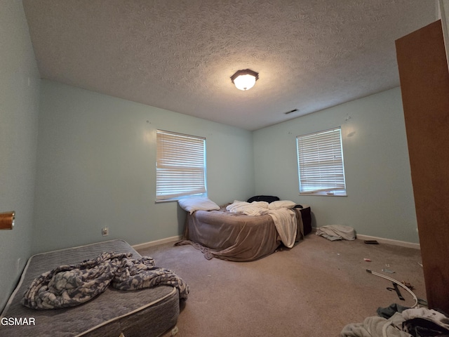 2865/2869 Happy Hollow Rd, Sevierville, TN 37862 - carpeted bedroom with multiple windows and a textured ceiling