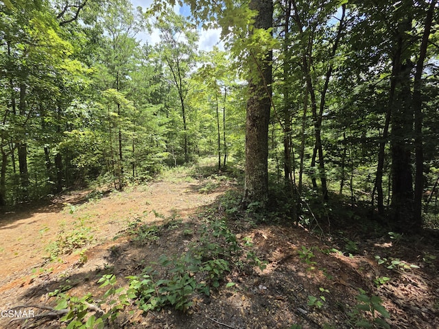 2865/2869 Happy Hollow Rd, Sevierville, TN 37862 - photo 88