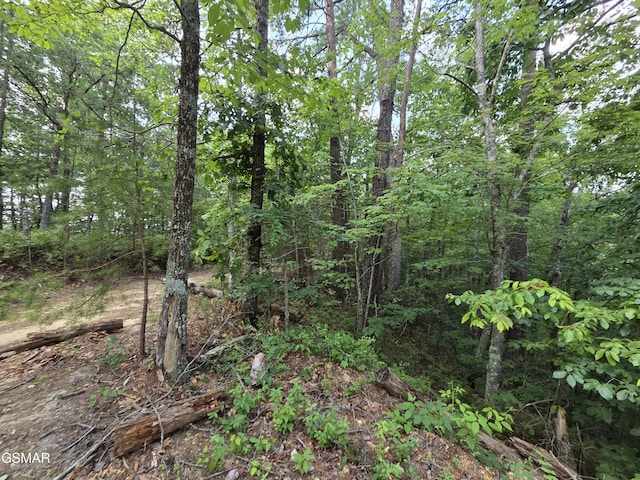 2865/2869 Happy Hollow Rd, Sevierville, TN 37862 - photo 83