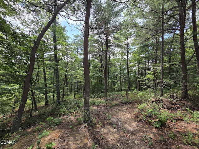 2865/2869 Happy Hollow Rd, Sevierville, TN 37862 - photo 80