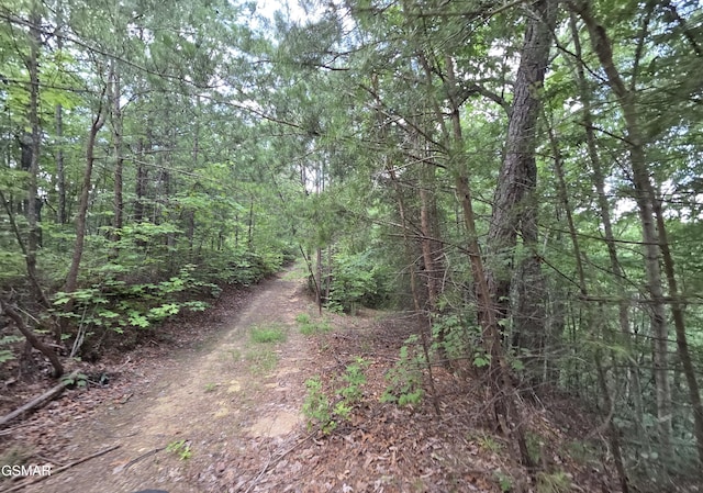 2865/2869 Happy Hollow Rd, Sevierville, TN 37862 - photo 84
