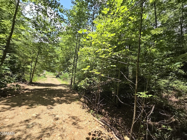 2865/2869 Happy Hollow Rd, Sevierville, TN 37862 - photo 96