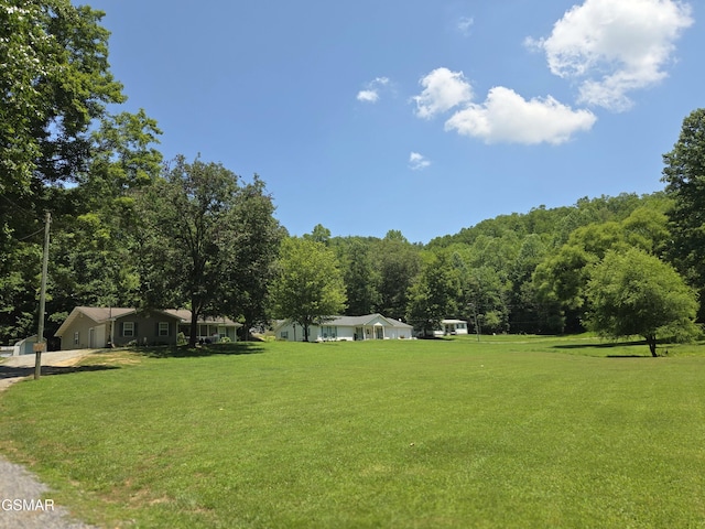 2865/2869 Happy Hollow Rd, Sevierville, TN 37862 - view of grassy yard with a forest view