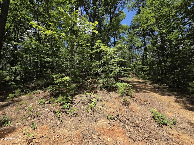 2865/2869 Happy Hollow Rd, Sevierville, TN 37862 - photo 90