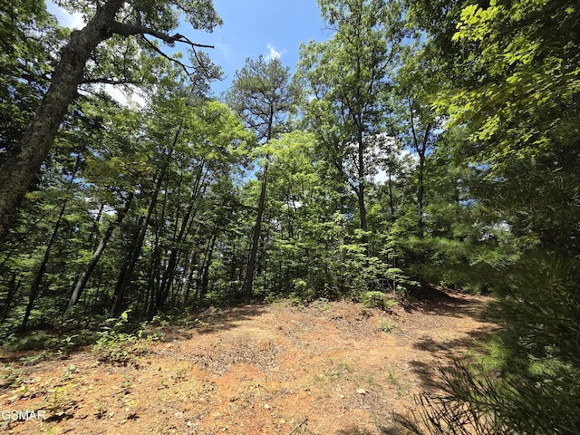 2865/2869 Happy Hollow Rd, Sevierville, TN 37862 - photo 86