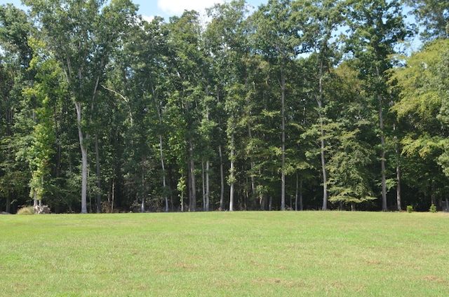 Listing photo 3 for LOT13 Stokley Ct, Dandridge TN 37725