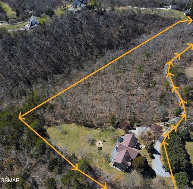 792 Edenwood Way, Parrottsville, TN 37843 - photo 9