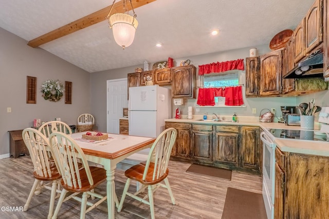 3078 Winding Way, Cosby, TN 37722 - kitchen with under cabinet range hood, white appliances, light wood-style flooring, light countertops, and recessed lighting