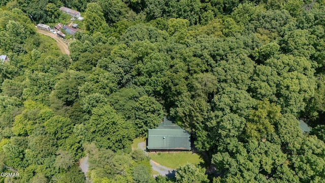 3078 Winding Way, Cosby, TN 37722 - view of property location featuring a forest