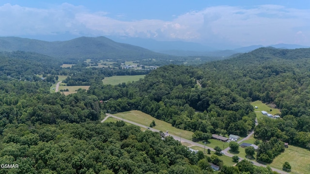 3078 Winding Way, Cosby, TN 37722 - drone / aerial view of mountains