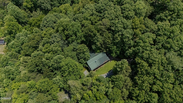 3078 Winding Way, Cosby, TN 37722 - aerial view of property and surrounding area featuring a forest