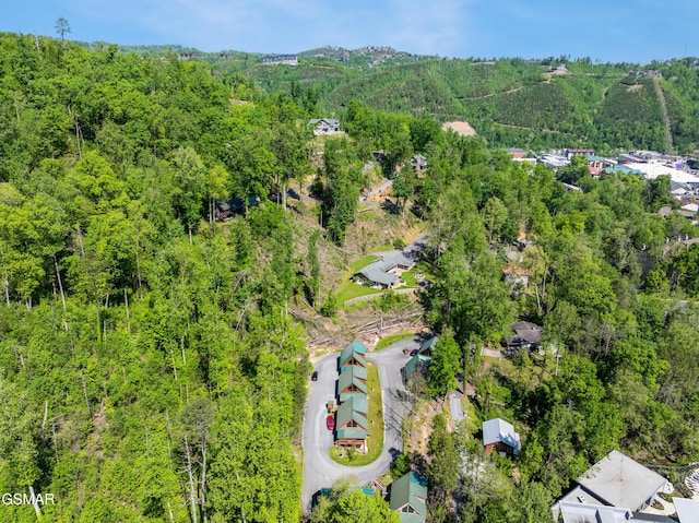 822 Eagle Cove Way, Gatlinburg, TN 37738 - bird's eye view of a heavily wooded area