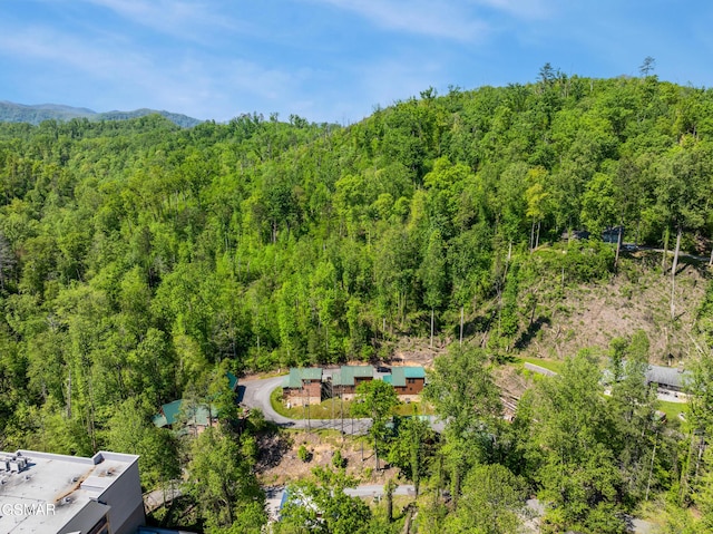 822 Eagle Cove Way, Gatlinburg, TN 37738 - aerial view of a heavily wooded area