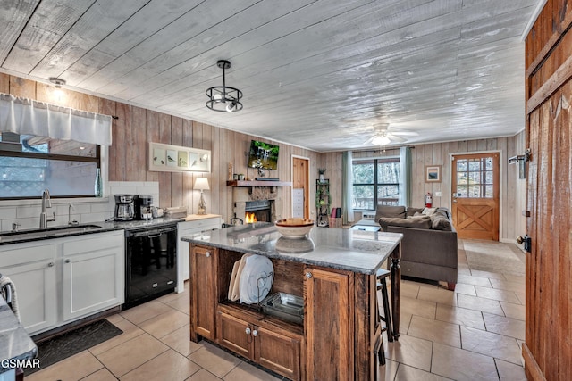 kitchen with a sink, dark stone countertops, a warm lit fireplace, open floor plan, and dishwasher