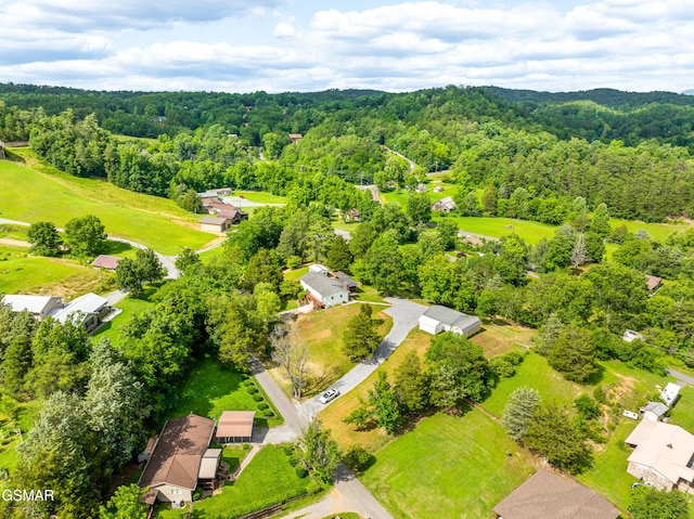 1732 Ed Huff Cir, Sevierville, TN 37876 - photo 57