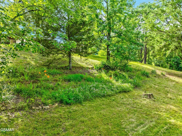 1732 Ed Huff Cir, Sevierville, TN 37876 - photo 58