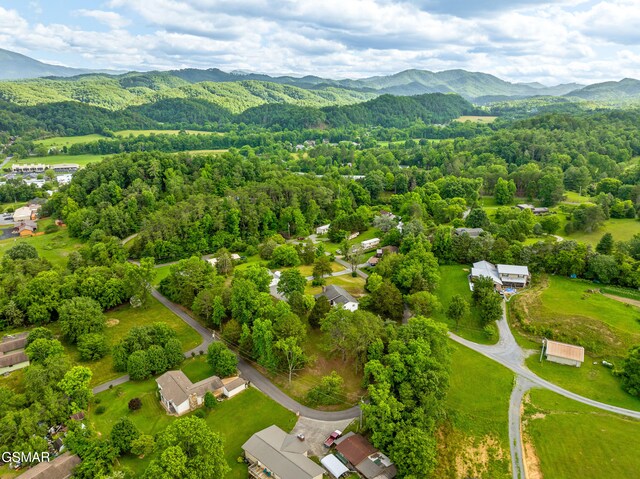 1732 Ed Huff Cir, Sevierville, TN 37876 - photo 55