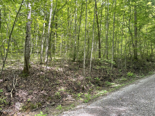 LOT4 Walden Flats Way, Sevierville, TN 37862