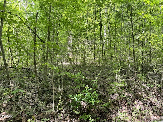 LOT4 Walden Flats Way, Sevierville, TN 37862