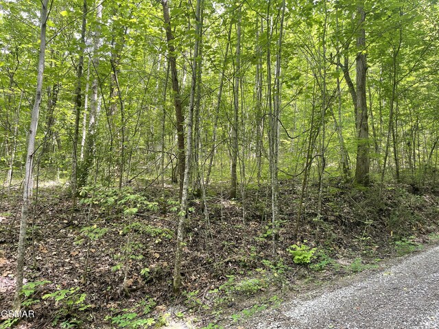 LOT4 Walden Flats Way, Sevierville, TN 37862
