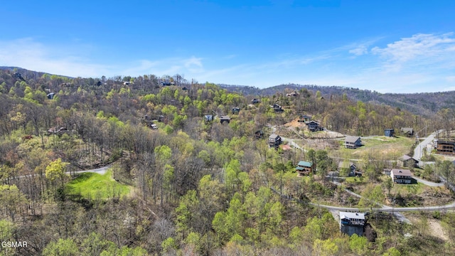 1023 Twin Oaks Rd, Gatlinburg, TN 37738 - drone / aerial view with a view of trees and a mountain view