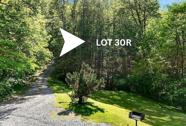 LOT30R Wolf Way, Sevierville, TN 37862