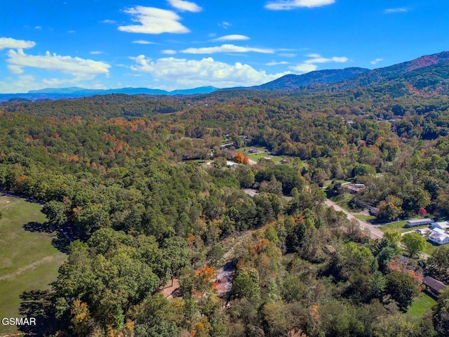 bird's eye view featuring a mountain view