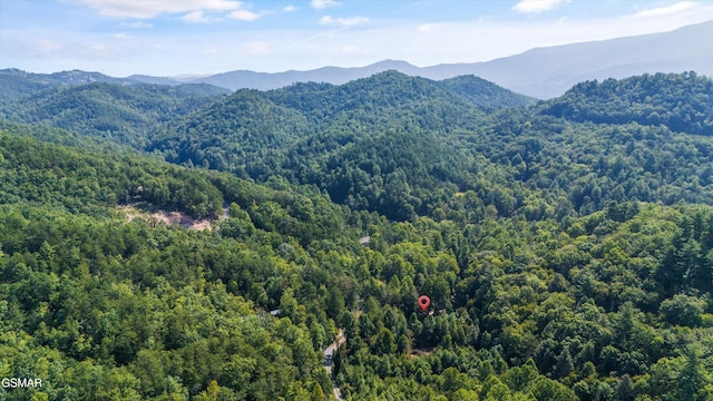 view of mountain feature featuring a view of trees