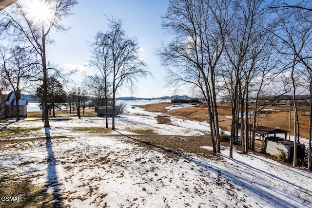 1369 Paradise Ln, Dandridge, TN 37725 - view of yard layered in snow
