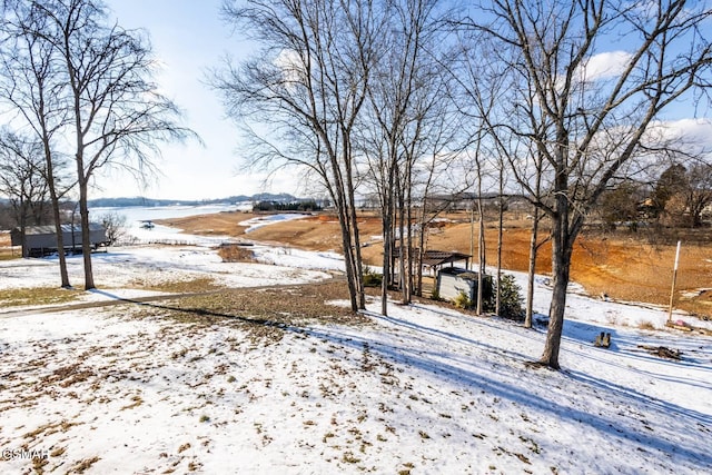 1369 Paradise Ln, Dandridge, TN 37725 - view of yard covered in snow