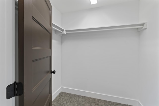 174 W Meeting St, Dandridge, TN 37725 - walk in closet featuring carpet