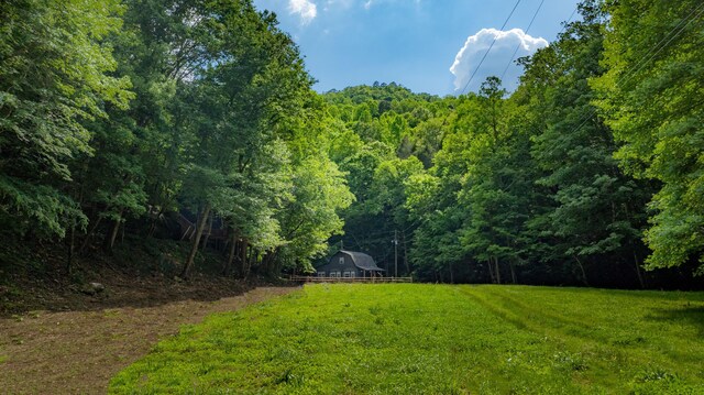 view of yard featuring a view of trees