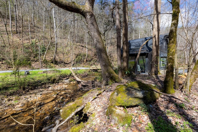 view of yard featuring a wooded view