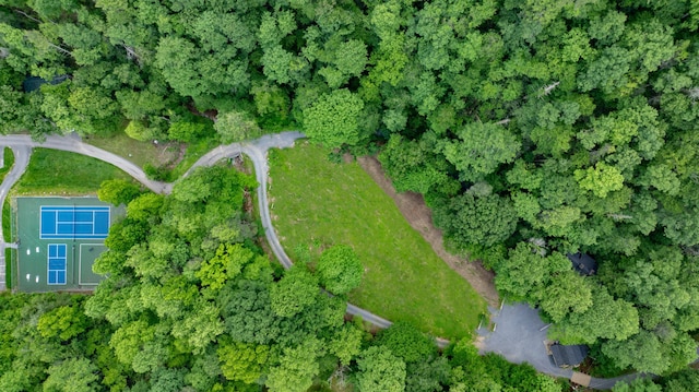 bird's eye view