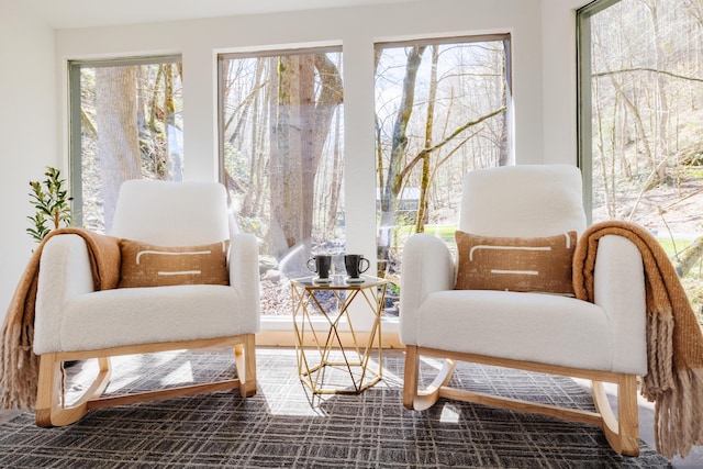 sitting room featuring plenty of natural light