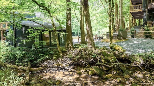 view of local wilderness with a wooded view