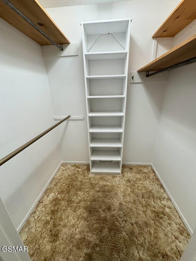 spacious closet with carpet floors